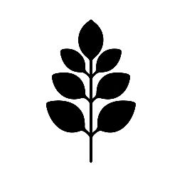 Moringa Harvest